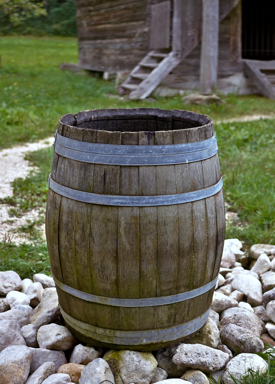 barrel, nature, rainwater, water, watering, rainwater, rainwater, rainwater, rainwater, rainwater