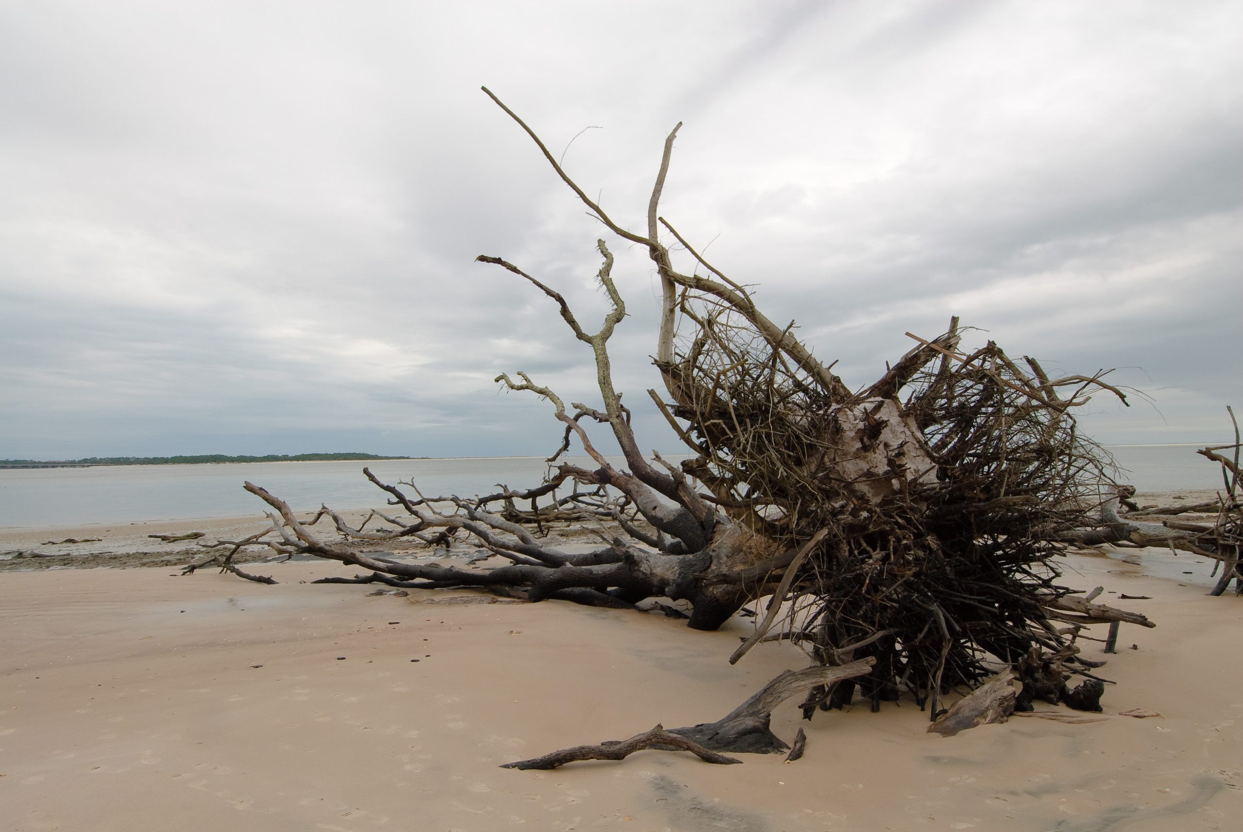 Boneyard Beach